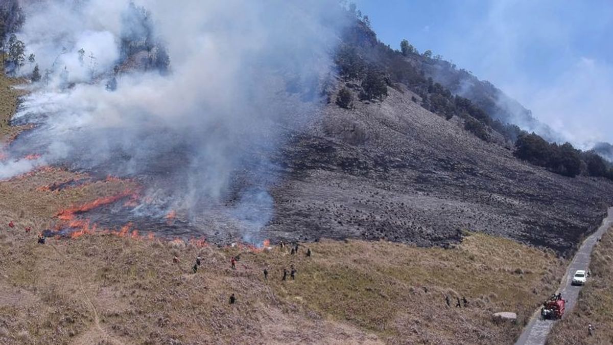Mount Bromo Fire Due To Prewedding Using Flare Reaches 504 Hectares