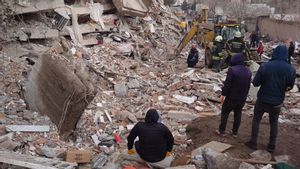 11 Hari Tertimbun Reruntuhan Gempa Turki, Kucing Ini Dievakuasi saat Tengah Melahirkan: Langsung Jalani Operasi Sesar