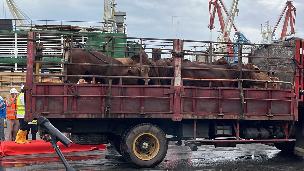 미국-이스라엘과 이란의 전쟁은 돼지고기 가격을 올릴 수 있습니까? 이것이 다르마 자야 회장의 말입니다.