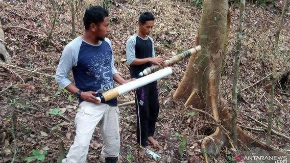 Après S’être Attaqué à Des Vaches Appartenant Aux Résidents De Sumatra Ouest D’Agam, BKSDA Est Occupé Depuis 3 Jours Pour Empêcher Le Mouvement Des Tigres De Sumatra