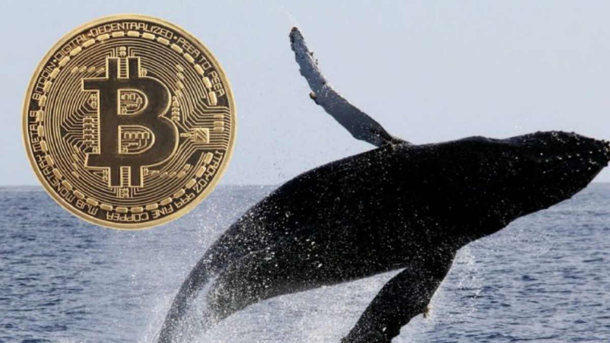 1,005 ビットコイン 2010 年よりアクティブな再び、このクジラはBTCを新しいアドレスに送信します