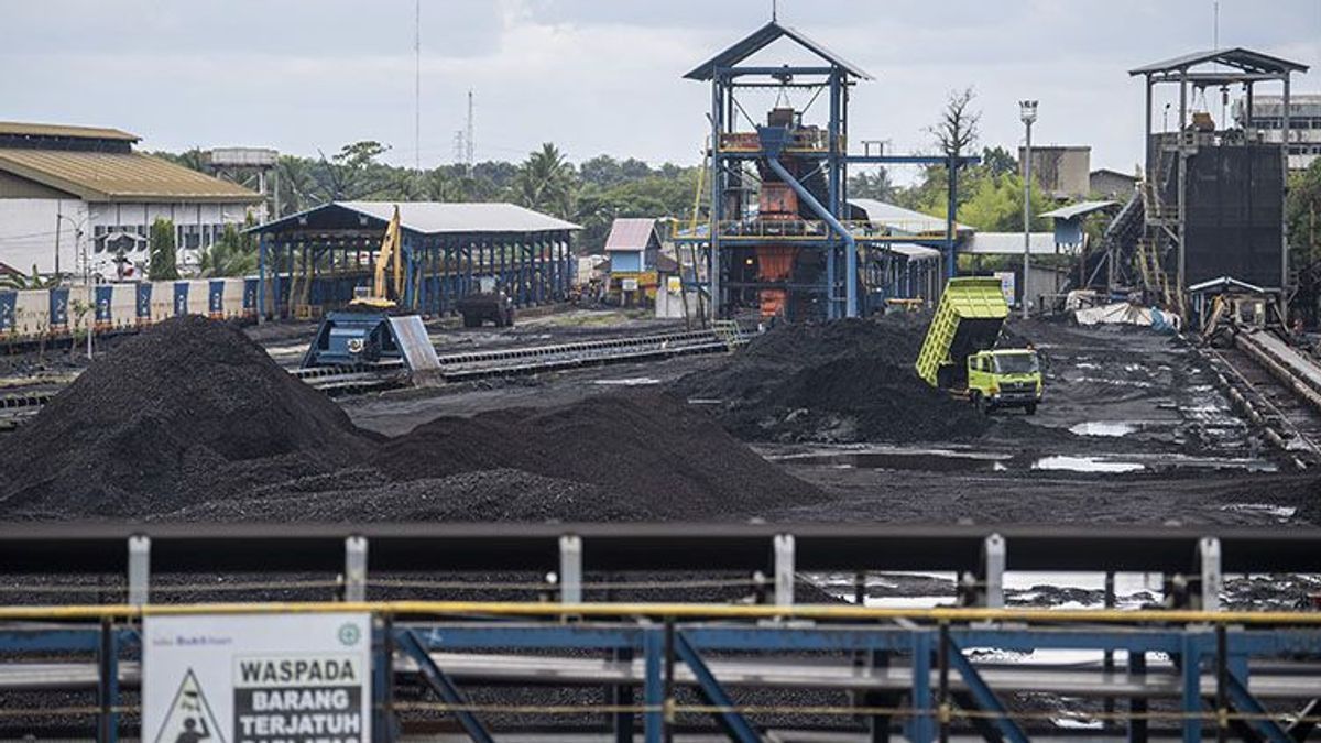 Indonesia Still Has Coal Reserves Of 31 Billion Tons, Director General Of Mineral And Coal ESDM: Domestic Needs Are Guaranteed And Can Still Be Exported