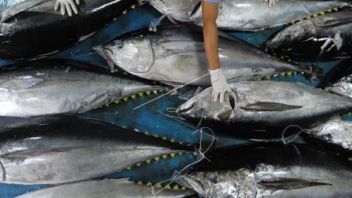 Iskindo Disbursed 4 Keys To Downstream Fisheries In Indonesia