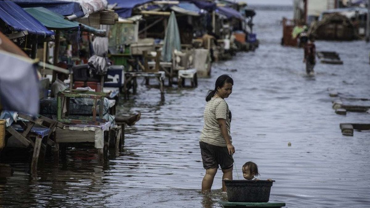 Pemprov DKI Bakal Relokasi Warga Terdampak Banjir Rob di Muara Angke ke Rusun 