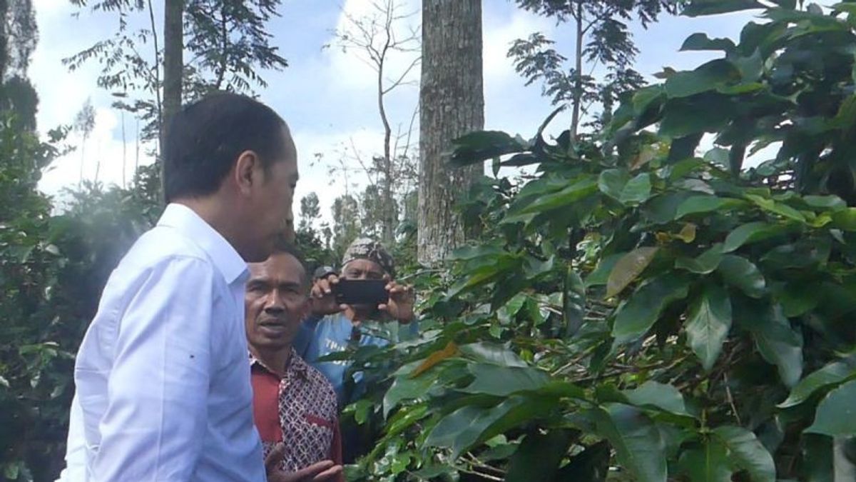 Jokowi Meets Temanggung Coffee Farmers, Asks To Keep Red Petik