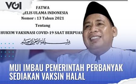 VIDEO: MUI Imbau Pemerintah Perbanyak Sediakan Vaksin Halal