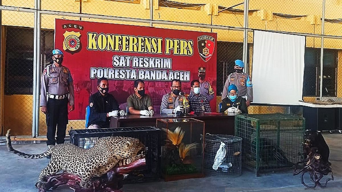 La Police De Banda Aceh Sécurise La Collecte D’animaux Protégés Appartenant à Des Suspects De Drogue 