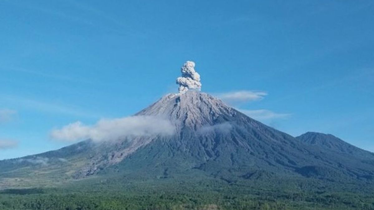 Semeru Erupts This Morning, Don't Go Close To Besuk Kobokan, East Java