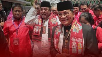 Irit promise pourrait être le Bumerang Pramono Anung et Rano Karno