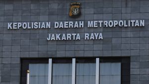 Revina VT Melaporkan Dedy Susanto ke Polisi