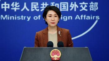 イランからイスラエルまでコミュニケーションを図る中国外相王毅、戦争は問題を解決しないことを強調