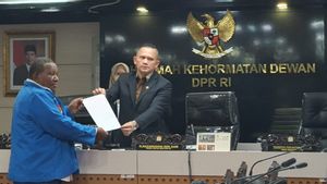 Sebut TNI Gerombolan, Effendi Simbolon Dilaporkan ke MKD DPR