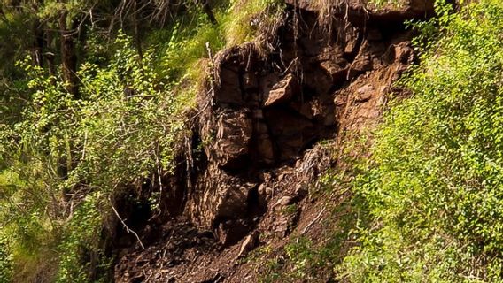 Susun Kebijakan Cegah Tanah Bergerak, PVMBG Teliti Kawasan Singajaya Garut