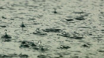 Prakiraan Cuaca Bekasi  Hari Ini, BMKG: Waspadai Potensi Hujan Dengan Intensitas Tinggi Beserta  Kilat  dan Petir