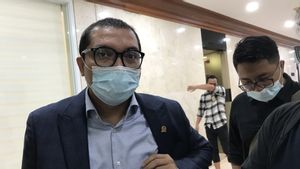 Andi Arief Singgung Jokowi Terlalu Ikut Campur Urusan Parpol, PPP: Demokrat Jangan Baper, Santai Saja