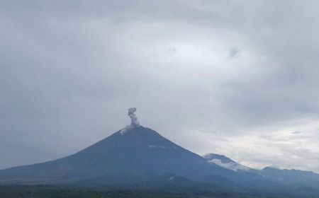 Gunung Semeru Erupsi dengan Kolom Abu Setinggi 1,3 Kilometer