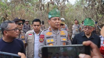 Kolaborasi Jadi Kunci, Kapolda Riau Sebut Karhutla Dumai Mulai Terkendali