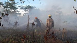 1,5 Hektare Lahan di Perumahan TNI AL Kepri Kebakaran, Api Padam Usai Diguyur 2 Mobil Damkar