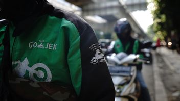 Gojek Green Light Can Pave In Malaysia