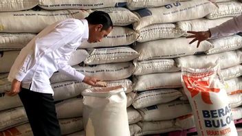 أسعار المواد الغذائية تصبح مصدرا للتضخم العالمي، سري مولياني: إلى إندونيسيا، يرجى حصاد الأرز بسلاسة