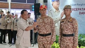 Bantu Pemulihan Daerah Terdampak Bencana di Aceh, Kemendagri Berangkatkan 1.138 Praja IPDN