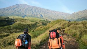 Pendaki Asal Swiss Jatuh di Jalur Pelawangan Rinjani, Tim SAR Gabungan Dikerahkan