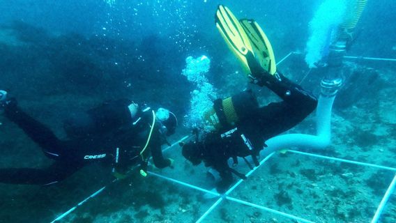 Teluk Gibraltar Simpan 134 Bangkai Kapal, dari Era Punisia hingga Perang Dunia II