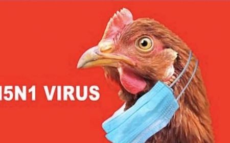 One Health Disarankan Dapat Respons Kematian Manusia akibat Flu Burung