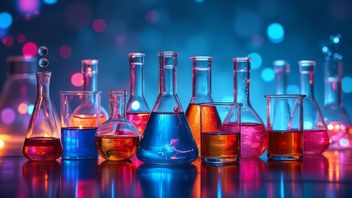 يجب أن تعرف! أدوار المواد الكيميائية التي تعمل على نقل الحوافز الكهربائية في الجهاز العصبي البشري