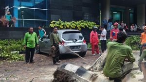 Mobil Honda Brio Milik Kontraktor Asal Surabaya Tertimpa Pohon di Halaman Kantor Pemkot Jakut