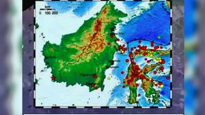 Kalimantan Rocked 24 Times Earthquake Throughout November 2024