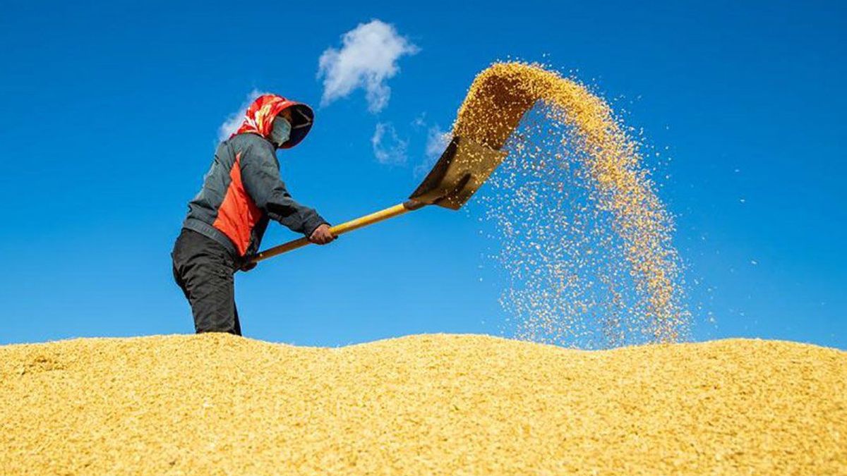 Wamentan Sudaryono: Produksi Beras RI Melimpah, Malaysia-Filipina Lagi Kesusahan