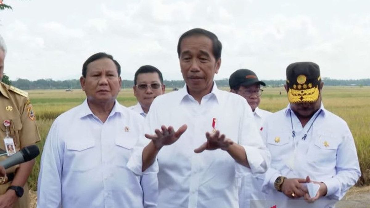 Everywhere We Listen To Farmers' Complaints About The Rare Fertilizer Of Subsidies, Jokowi: This Is What We Are Trying