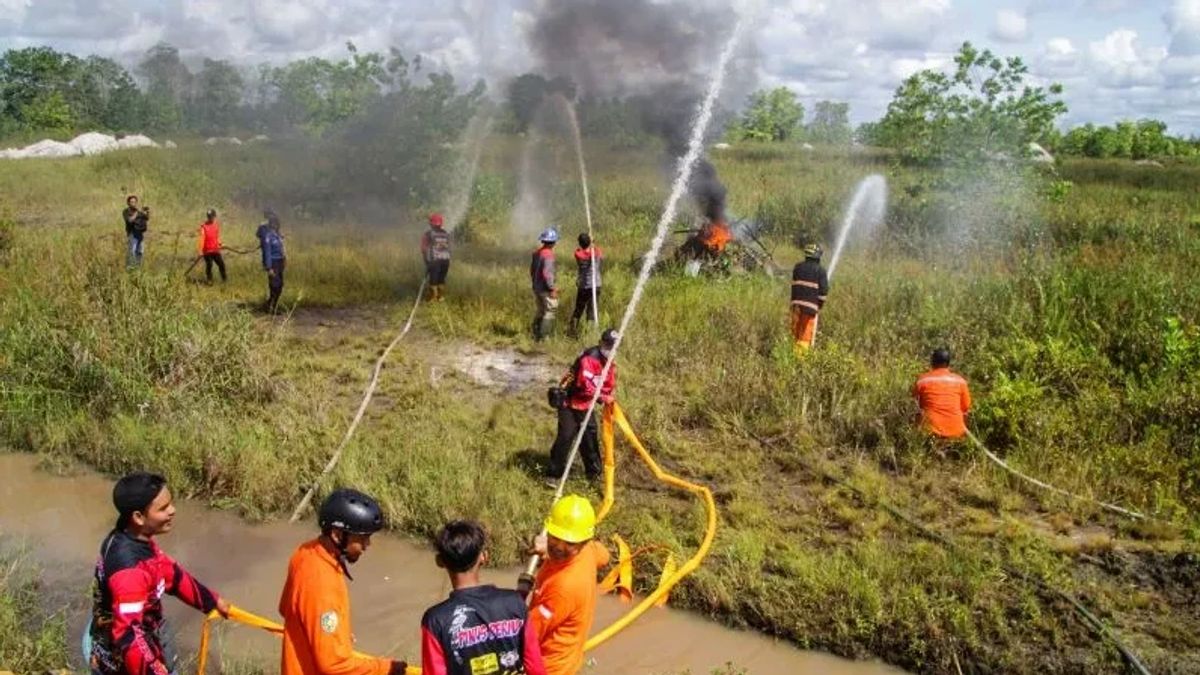 If You See Forest And Land Fires In Central Kalimantan, BPBD Urges To Immediately Report To The Village Head Or Police