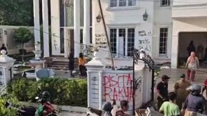 Kucing Uya Kuya yang Dijarah Massa Dititip ke Dinas KPKP Jakarta 