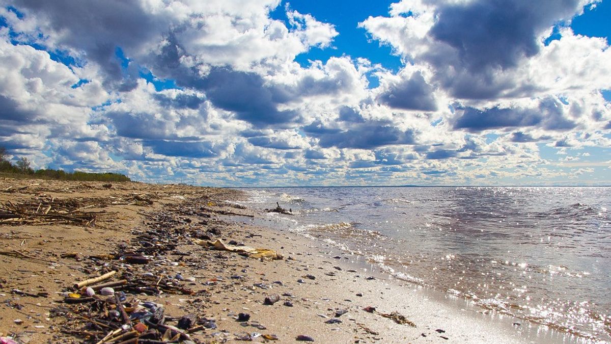 Para Ilmuwan Temukan Alat Pendeteksi Sampah Plastik di Laut,  Tumpukannya Sangat Mencengangkan
