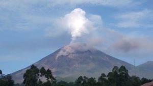 <i>Update</i> Selasa 14 Desember, Total Korban Meninggal Dunia akibat Awan Panas Guguran Gunung Semeru Mencapai 48 Jiwa