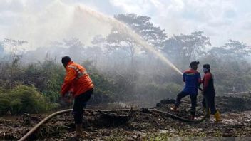 10 Hektare Lahan Perkebunan di Aceh Barat Terbakar