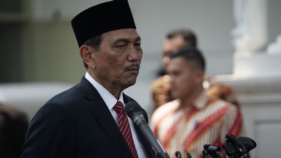 Demi Selamatkan Nyawa, Menko Luhut Tegaskan Pemda Bisa Intervensi Penertiban PPKM Darurat