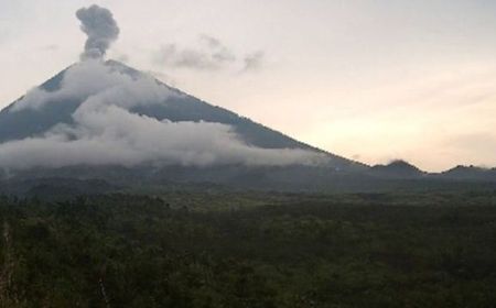 Gunung Semeru Erupsi, Tinggi Kolom Letusan 800 Meter