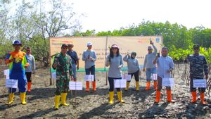 Danamon Peduli Tanam 5.000 Pohon Mangrove di Pangandaran