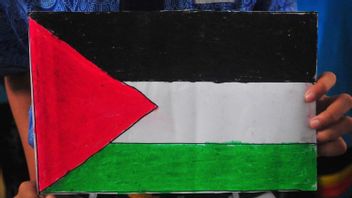 Supports Spanish Calls, Norway Ready To Admit Free Palestinian Countries