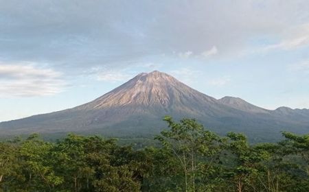 Gunung Semeru Alami Beberapa Kali Letusan dan Guguran