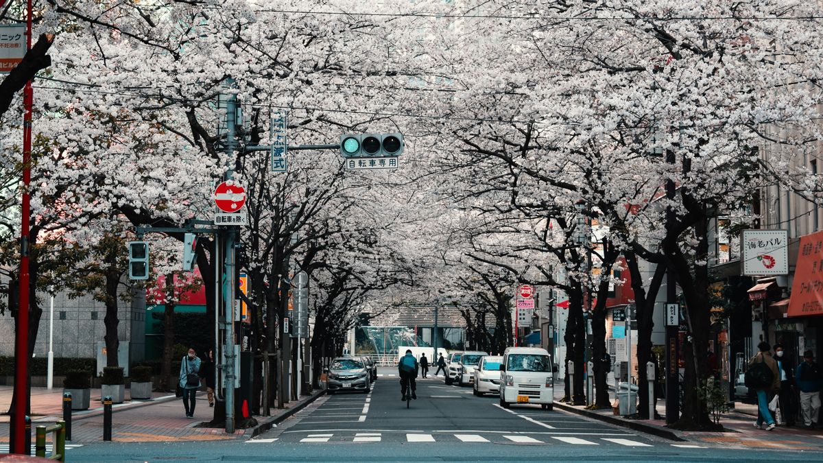 Studi: Tokyo Jadi Kota Terbaik untuk Tempat Tinggal