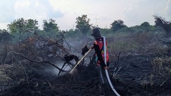 BPBDスムセルは、森林と土地のチェックのための陸上パトロールを強化し、住民は森林と土地の火災を防ぐ