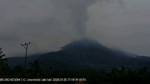 Gunung Lewotobi Laki-Laki Dua Kali Erupsi pada Sabtu 25 Januari 2025