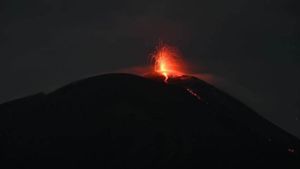 PVMBG 登山Ile Lewotolok NTT 173 火山爆发一周内