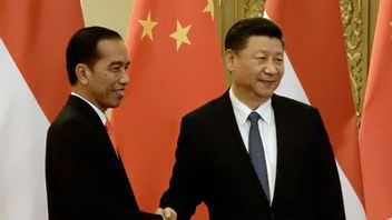 ジョコウィは習近平に会う、これは中国が他の国と比較して最も捜しているインドネシア共和国の「宝物」です