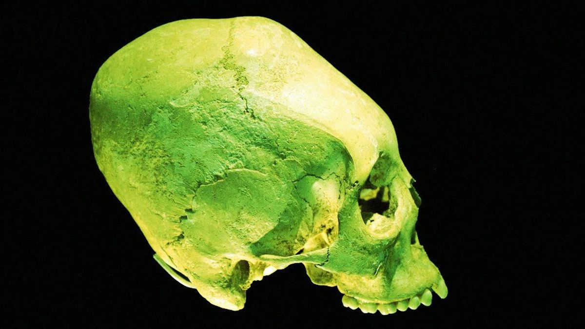 Les Archéologues Confus Pour Trouver Des Crânes Similaires à Alien Viral Sur Les Médias Sociaux