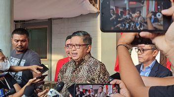 Sespri Jokowi to Iriana Maju Pilkada, Hasto PDIP Singgung Kolusi and Nepotism